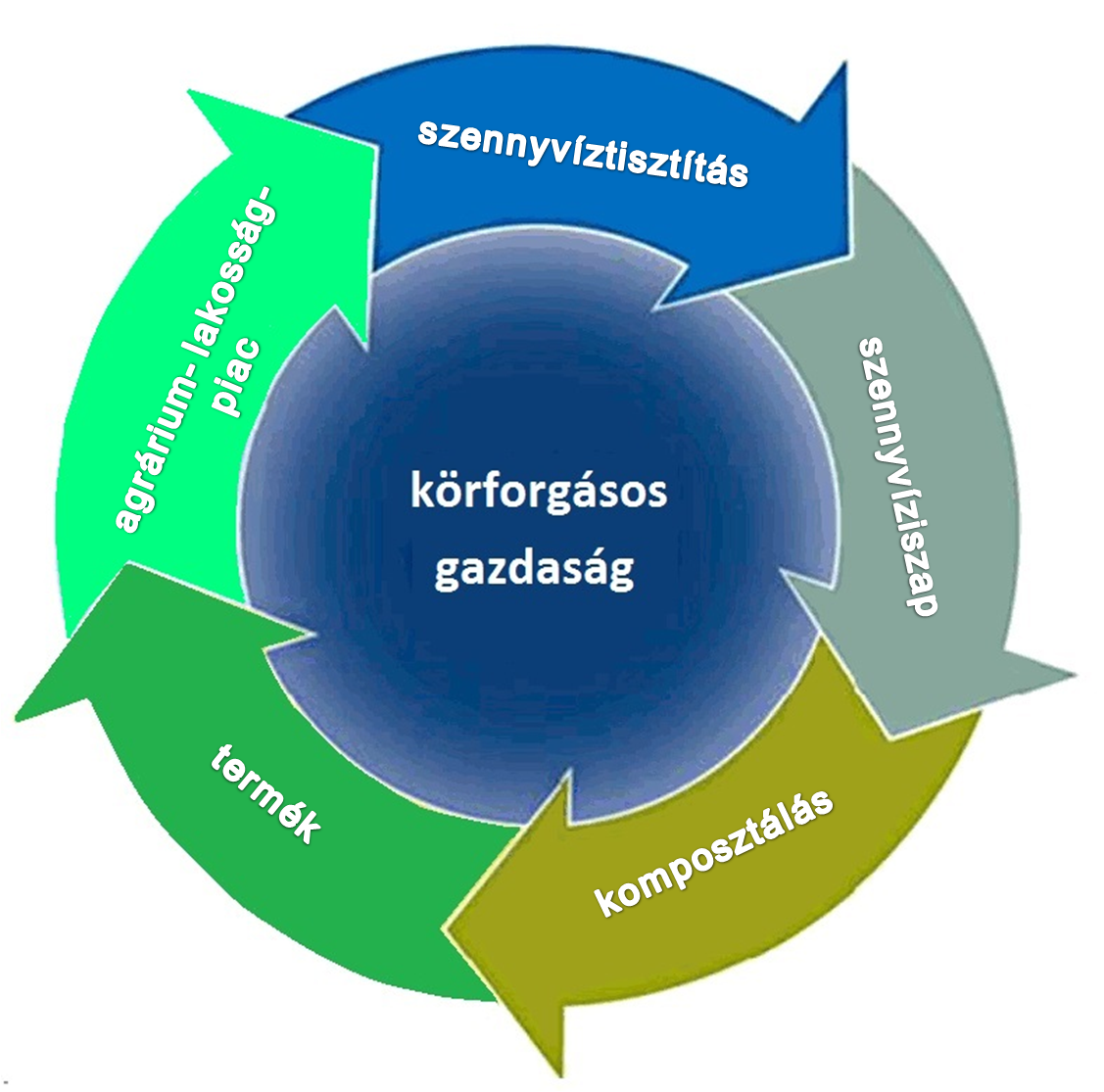 szennyvíziszap kezelés és hasznosítás, körforgásos gazdaság